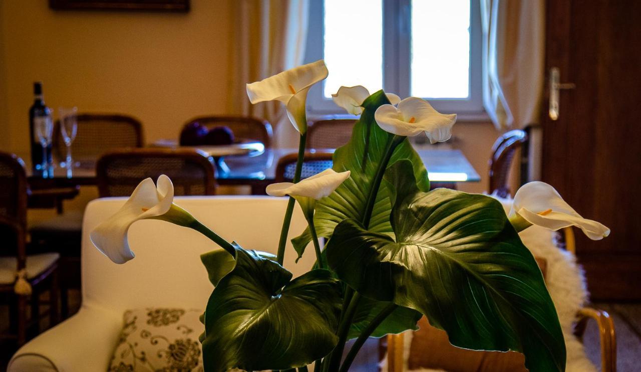 Il Palagetto B&B Firenze Eksteriør billede